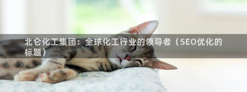 球盟会能退钱吗知乎：北仑化工集团：全球化工行业的领导者（SE