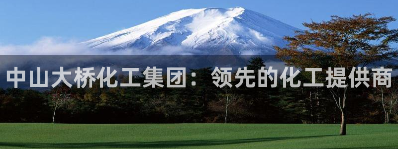 球盟会网址多少：中山大桥化工集团：领先的化工提供商