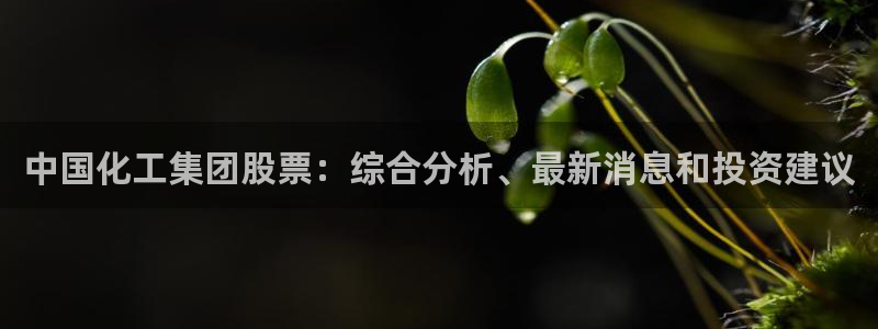 球盟会有没有黑单的球员