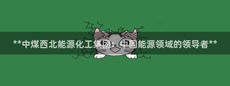 球盟会qm9