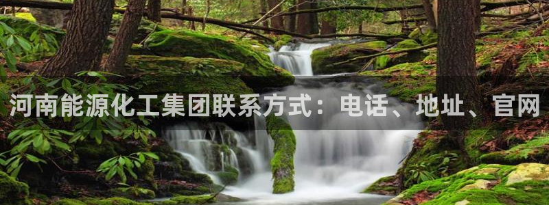 球盟会官网入口