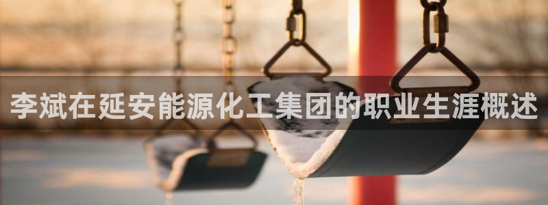 球盟会可靠不：李斌在延安能源化工集团的职业生涯概述
