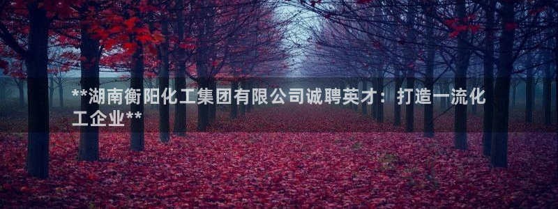 球盟会官方最新入口：**湖南衡阳化工集团有限公司诚聘英才：打