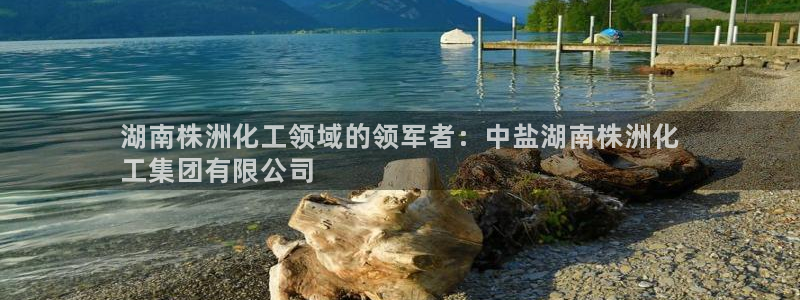 球盟会qmh - 球盟会官方网站：湖南株洲化工领域的领军者：