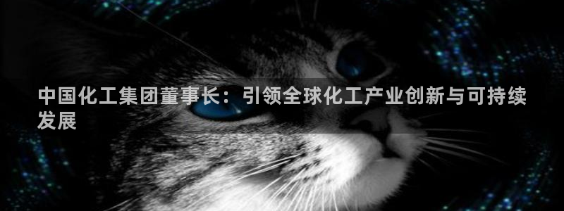 球盟会官网：中国化工集团董事长：引领全球化工产业创新与可持续