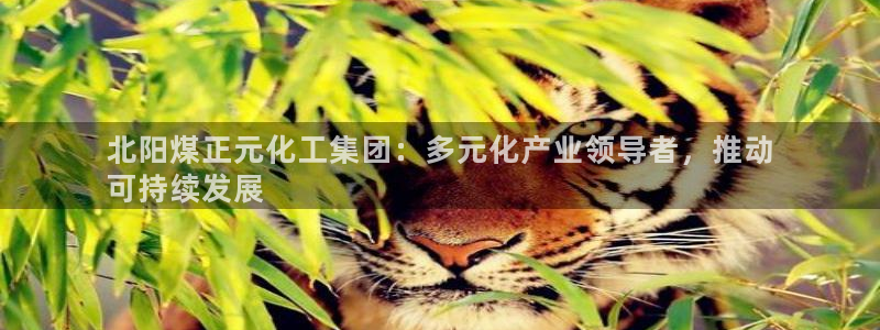 球盟会黑：北阳煤正元化工集团：多元化产业领导者，推动
可持续