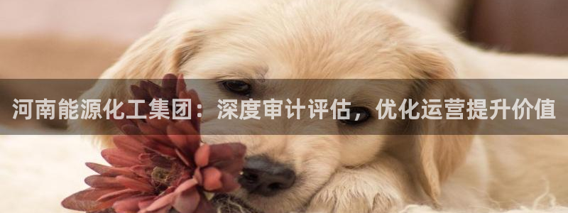 球盟会电子：河南能源化工集团：深度审计评估，优化运营提升价值