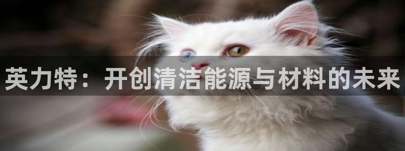 球盟会国际官网：英力特：开创清洁能源与材料的未来