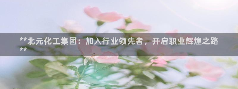 球盟会里面有打牌的嘛知乎：**北元化工集团：加入行业领先者，