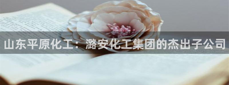 球盟会用的客服聊天是哪个软件：山东平原化工：潞安化工集团的杰