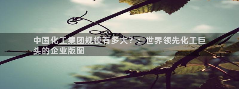 球盟会下款快吗：中国化工集团规模有多大？：世界领先化工巨
头