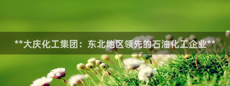 球盟会邮箱：**大庆化工集团：东北地区领先的石油化工企业**
