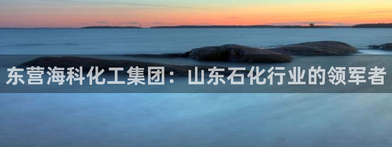 球盟会官方网站入口：东营海科化工集团：山东石化行业的领军者