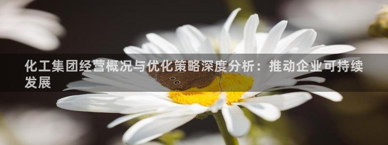 球盟会：化工集团经营概况与优化策略深度分析：推动企业可持续
