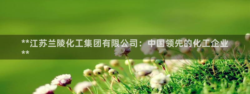 球盟会官方网页登录：**江苏兰陵化工集团有限公司：中国领先的