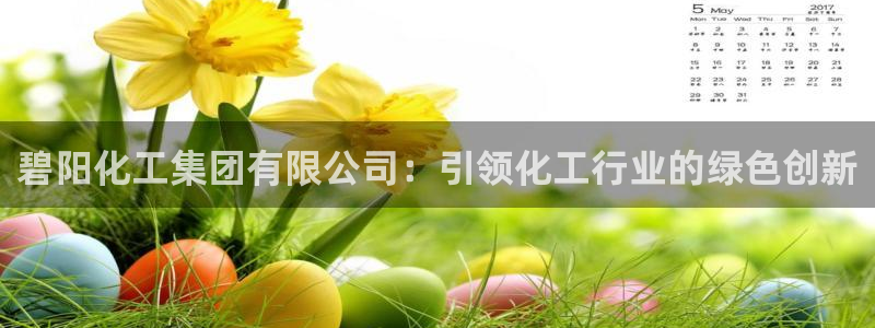 球盟会官方版下载地址：碧阳化工集团有限公司：引领化工行业的绿
