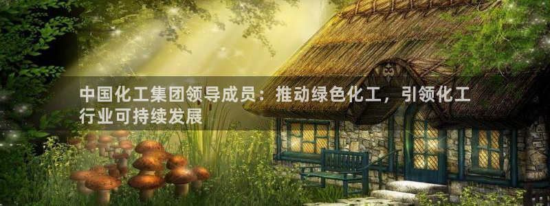 球盟会可以提现么：中国化工集团领导成员：推动绿色化工，引领化