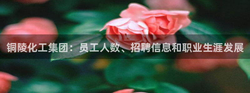 球盟会连接：铜陵化工集团：员工人数、招聘信息和职业生涯发展