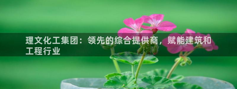 球盟会优惠码：理文化工集团：领先的综合提供商，赋能建筑和
工