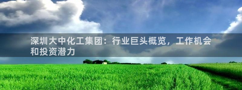 球盟会qmh网页版登录：深圳大中化工集团：行业巨头概览，工作