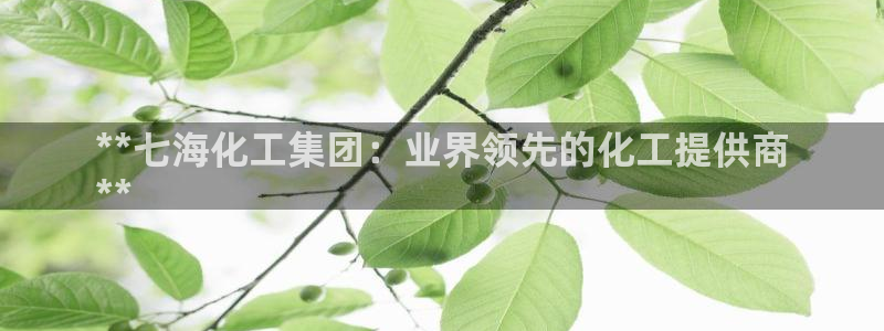 球盟会平台会黑单吗：**七海化工集团：业界领先的化工提供商
