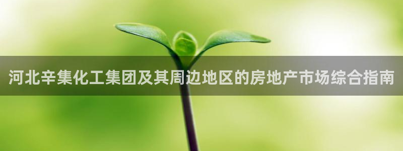 球盟会提款支付宝怎么样：河北辛集化工集团及其周边地区的房地产