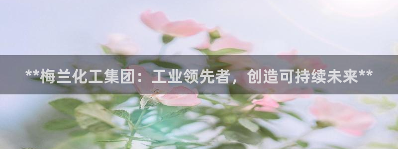 球盟会可以提现么：**梅兰化工集团：工业领先者，创造可持续未