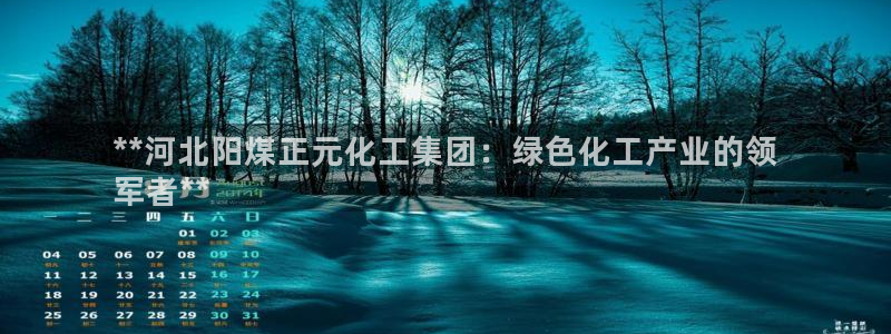 球盟会可靠不：**河北阳煤正元化工集团：绿色化工产业的领
军