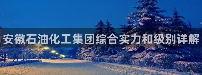 球盟会提款支付宝怎么样：安徽石油化工集团综合实力和级别详解