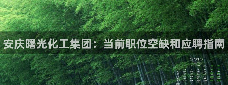 球盟会官方平台入口：安庆曙光化工集团：当前职位空缺和应聘指南