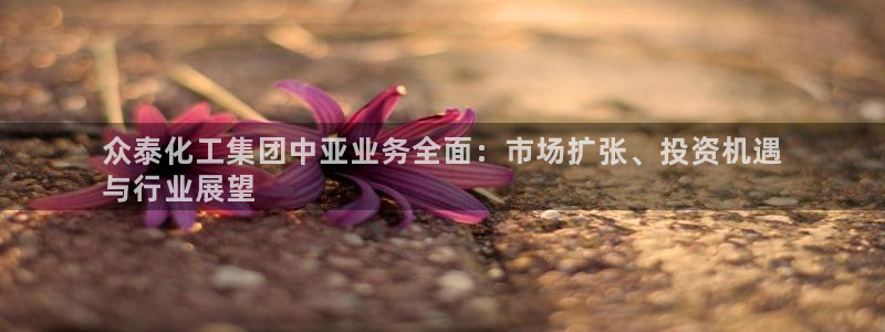 球盟会体验金球奖吗：众泰化工集团中亚业务全面：市场扩张、投资