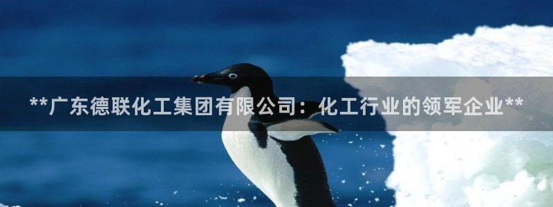 球盟会提款支付宝怎么样：**广东德联化工集团有限公司：化工行