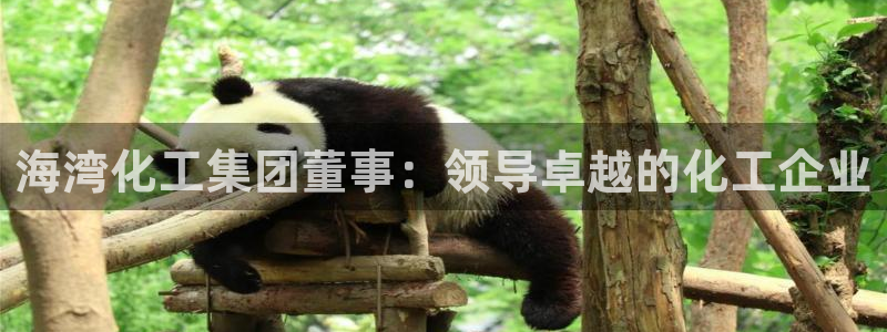 球盟会黑台子：海湾化工集团董事：领导卓越的化工企业