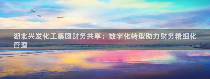 球盟会可以提现么是真的吗：湖北兴发化工集团财务共享：数字化转